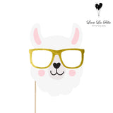 Photo Props Kit - Llama/Cactus