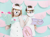 Photo Props Kit - Llama/Cactus