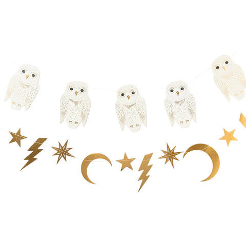 Witches and Wizards Owl Banner